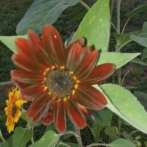 Meet your Posher, Candice